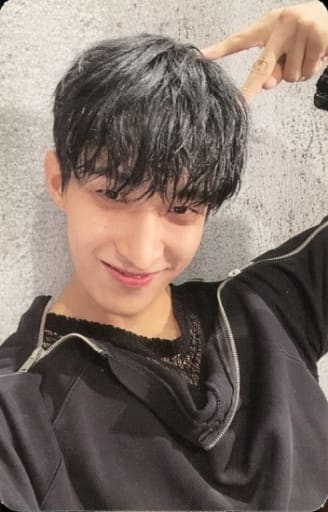 SEVENTEEN/DK(ドギョム)/裏面グレー/CD「Face the Sun」(ep.2 Shadow)封入特典フォトカード