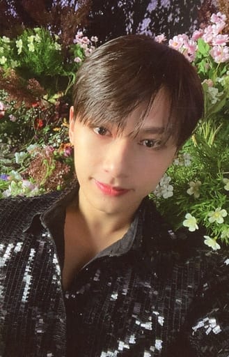 駿河屋 - 【買取】SEVENTEEN/JUN(ジュン)/裏面オレンジ・ベージュ