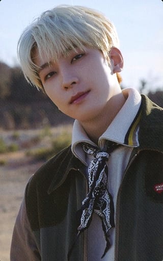 駿河屋 -<中古>SEVENTEEN/WONWOO(ウォヌ)/CD「Face the Sun」(正規盤