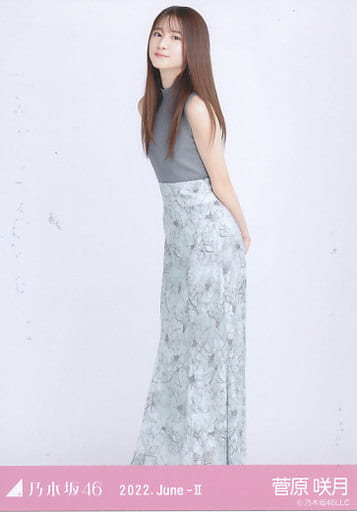 菅原咲月 乃木坂46 生写真 ノースリーブニット cateslaundry.com