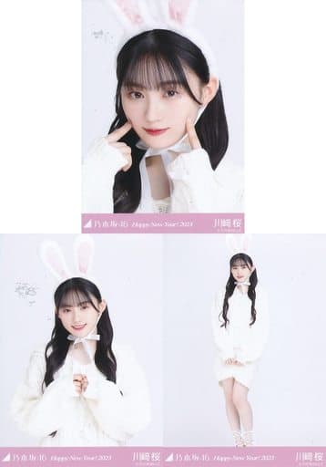 ◇川﨑桜/「乃木坂46 Happy New Year! 2023」WebShop 限定ランダム生写真 3種コンプリートセット ◇川﨑桜/「乃木坂46 Happy New Year! 2023」WebShop 限定ランダム生写真 3種コンプリートセット