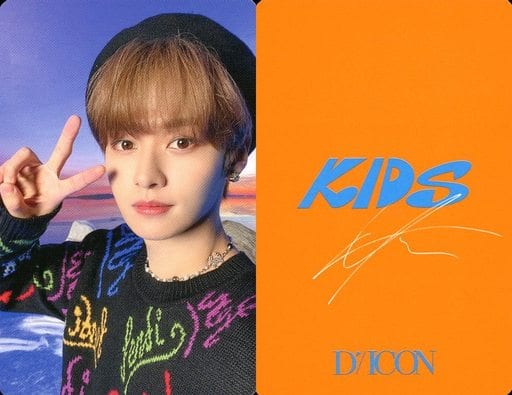 駿河屋 -<中古>Stray Kids/Lee Know(リノ)/裏面オレンジ・印刷サイン 駿河屋 -<中古>Stray Kids/Lee Know(リノ)/裏面オレンジ・印刷サイン