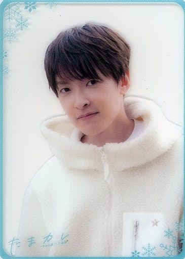 駿河屋 -<中古>田丸篤志/田丸篤志3rdフォトブック 「たまカレ~きみと