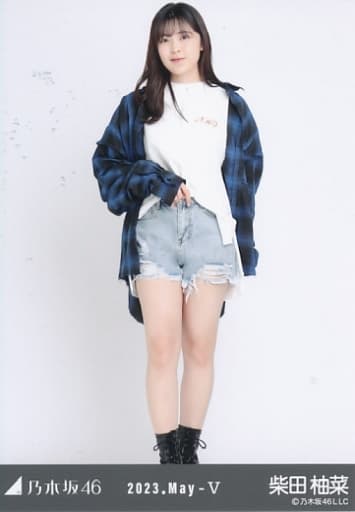 柴田柚菜/全身・ダメージ/「乃木坂46 2023.May-V」WebShop 限定ランダム生写真 柴田柚菜/全身・ダメージ/「乃木坂46 2023.May-V」WebShop 限定ランダム生写真