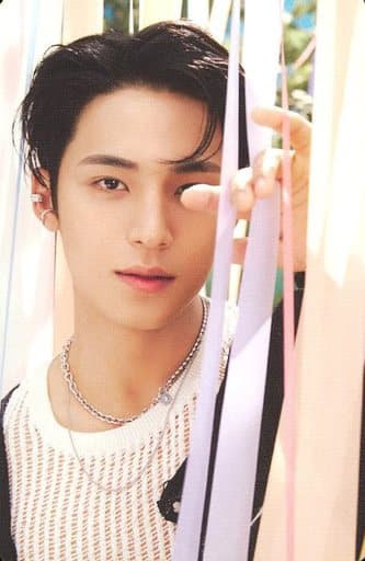 駿河屋 -<中古>SEVENTEEN/MINGYU(ミンギュ)/CD「Seventeenth Heaven 駿河屋 -<中古>SEVENTEEN/MINGYU(ミンギュ)/CD「Seventeenth Heaven