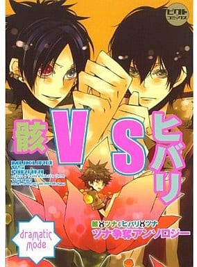 駿河屋 -<新品/中古><<家庭教師ヒットマンREBORN!>> 骸vsヒバリ
