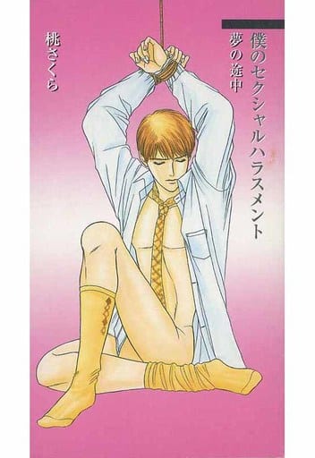 駿河屋 - 【買取】【小冊子】僕のセクシャルハラスメント 夢の途中