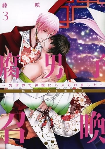 駿河屋 -<中古>【小冊子】腐男子召喚~異世界で神獣にハメられました
