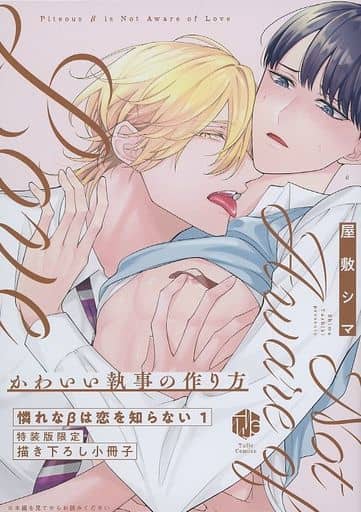 駿河屋 -<中古>特装版小冊子のみ)憐れなβは恋を知らない(1)特装版