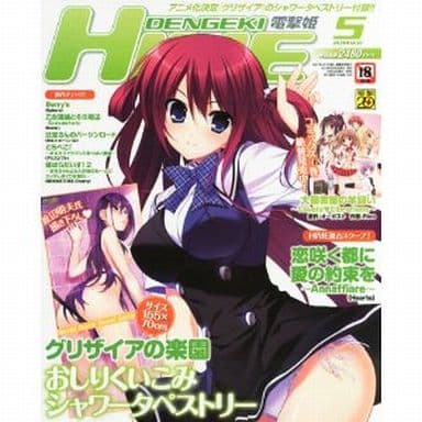 駿河屋 -【アダルト】<中古>付録付)電撃姫 2013年5月号(別冊付録1点