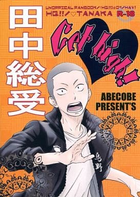 駿河屋 アダルト 中古 ハイキュー Get High 田中龍之介受け Abecobe アニメ系