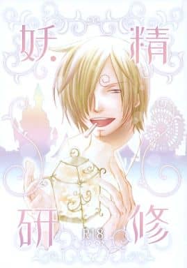 駿河屋 アダルト 中古 ワンピース 妖精研修 ゾロ サンジ Air アニメ系