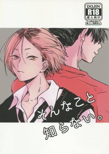 駿河屋 アダルト 中古 ハイキュー そんなこと知らない 黒尾鉄朗 孤爪研磨 Memme アニメ系