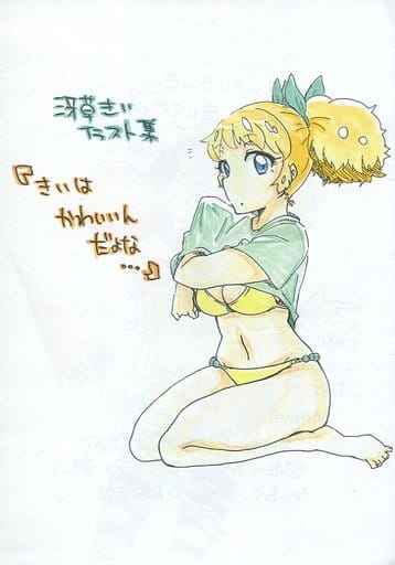 駿河屋 買取 アイカツ コピー誌 冴草きいイラスト集 きいはかわいいんだよな ソザツヤホンポ パロディ系