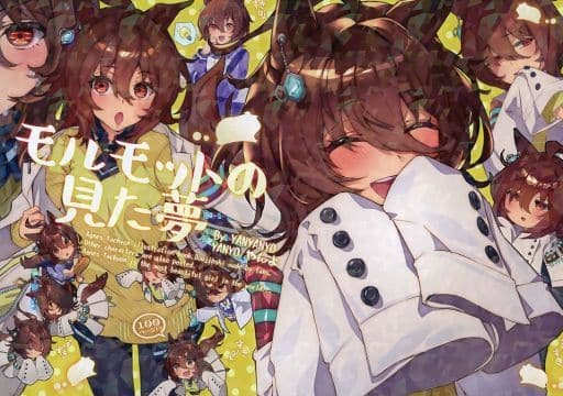 駿河屋 -<中古><<その他ゲーム>> モルモットの見た夢 / やんやんよ