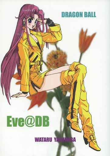 駿河屋 中古 ドラゴンボール Eve Db ヤムチャ ブルマ 天津飯 ランチ トーマ カメハウス アニメ系