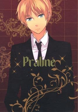 駿河屋 中古 ヘタリア Praline アルフレッド アーサー Dragon Rider ドラゴンライダー アニメ系 駿河屋 中古 ヘタリア Praline アルフレッド アーサー Dragon Rider ドラゴンライダー アニメ系