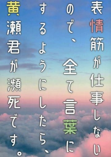 駿河屋 中古 黒子のバスケ 表情筋が仕事しないので 全て言葉にするようにしたら 黄瀬君が瀕死です 黄瀬涼太 黒子テツヤ レモンメロン アニメ系