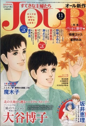 駿河屋 中古 Jour すてきな主婦たち 18年11月号 その他