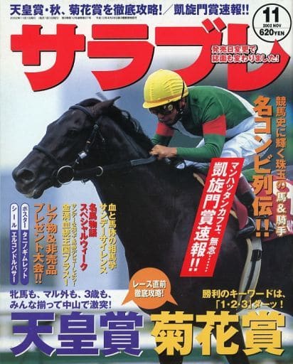 （値下げ）サラブレ　2002年（1年13冊セット）