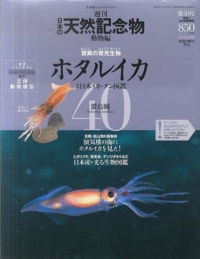 駿河屋 -<中古>付録付)週刊日本の天然記念物 動物編 40（フィギュア