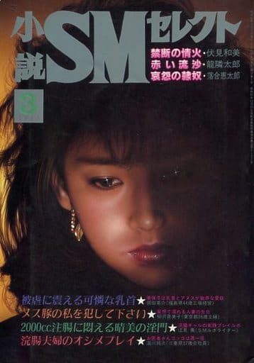 雑誌 5冊セット 小説SMセレクト 1985年 2.6.8.9.10月号 昭和60年 東京 雑誌 5冊セット 小説SMセレクト 1985年 2.6.8.9.10月号 昭和60年 東京