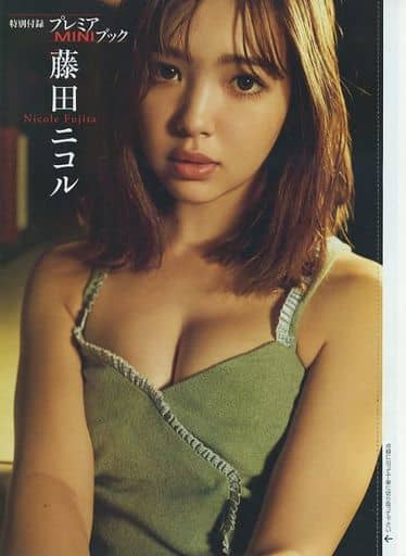 駿河屋 -<中古><<その他アイドル>> 藤田ニコル プレミアMINIブック