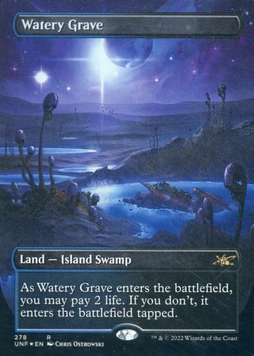 人気の ボーダーレス foil 2枚セット Grave 湿った墓/Watery マジック