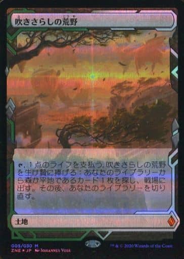 駿河屋 中古 神話r Foil 吹きさらしの荒野 Windswept Heath マジックザギャザリング