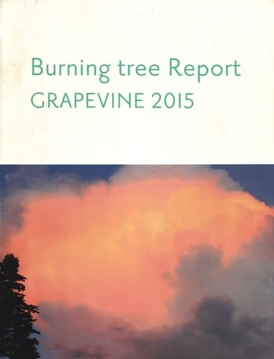 日本最大のブランド GRAPEVINE 、ツアーパンフ、ステッカー 会報