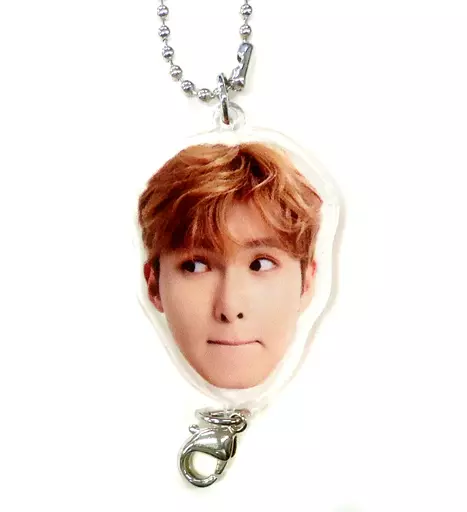 リョウク つながるチャーム B 「SUPER JUNIOR WORLD TOUR “SUPER SHOW 8： INFINITE TIME” in JAPAN」 SUPER SHOW8 カプセル景品