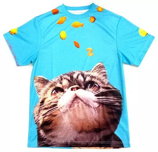 【田舎の高校であった怖い話】Tシャツ スカイブルー フリーサイズ こたぱん(日丸屋秀和) /しまおか健康ランド