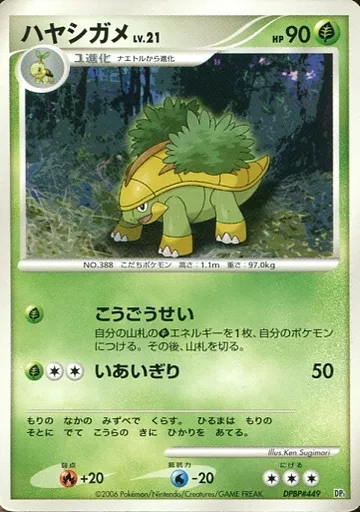 ハヤシガメ