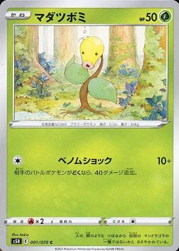 マダツボミ