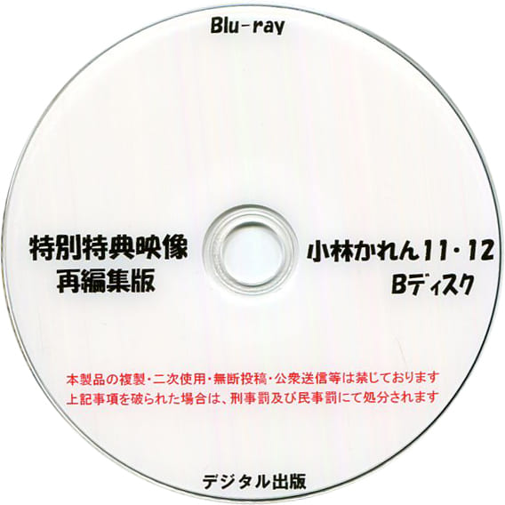 駿河屋 -<中古>特別特典映像再編集版 小林かれん 11・12 Aディスク&B