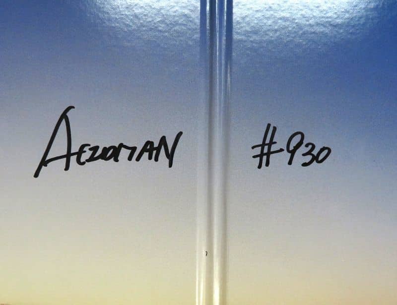 ACIDMAN 創 完全生産限定盤 LP レコード-