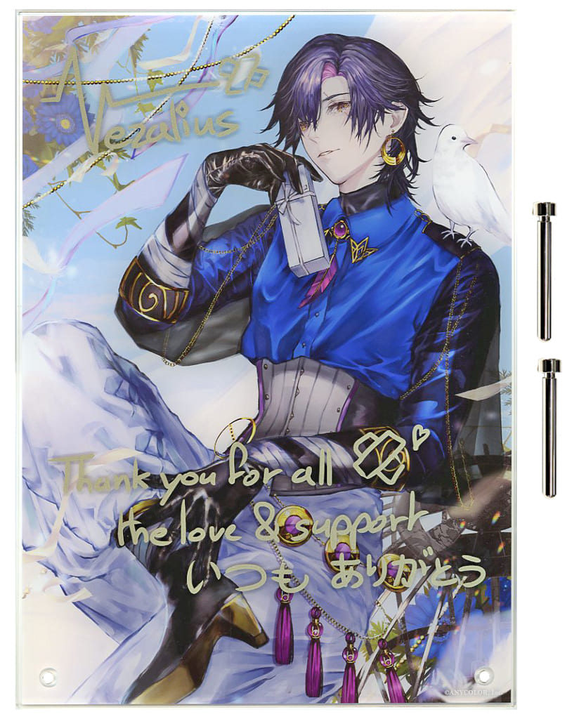 駿河屋 -<中古>ヴェザリウス・バンデージ 誕生日グッズフルセット 駿河屋 -<中古>ヴェザリウス・バンデージ 誕生日グッズフルセット