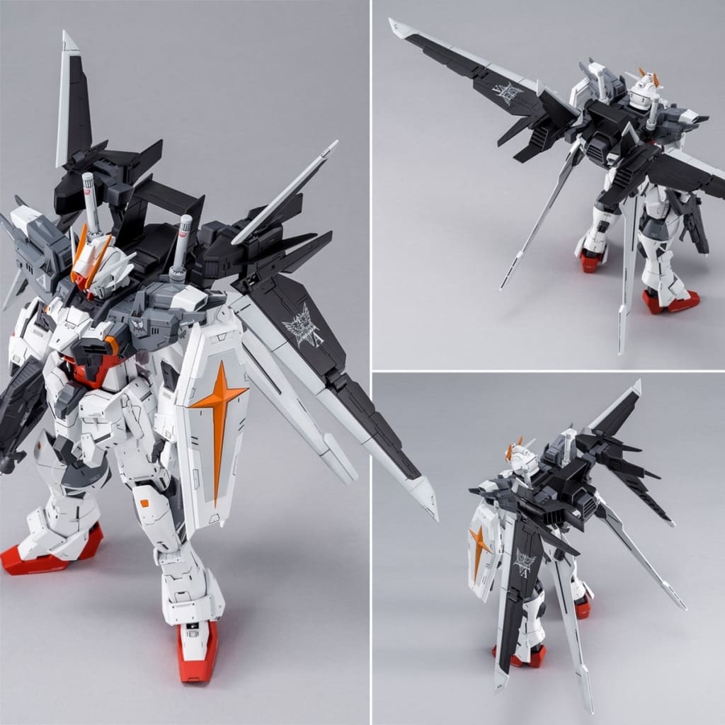 駿河屋 -<中古>1/100 MG ガンダムエクスインパルス 「ガンダムビルド 駿河屋 -<中古>1/100 MG ガンダムエクスインパルス 「ガンダムビルド