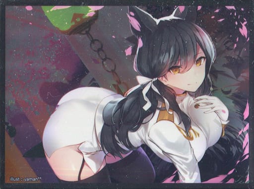 駿河屋 -<新品/中古>【アズールレーン】スリーブ 愛宕&高雄 スリーブ