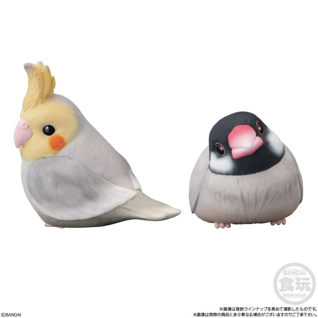 てのりフレンズ スズメ&シマエナガ&文鳥&メジロ&カワセミ&カラス てのりフレンズ スズメ&シマエナガ&文鳥&メジロ&カワセミ&カラス