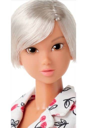 momokoDOLL みんなでつくる2019 SILVER Ver. 未開封