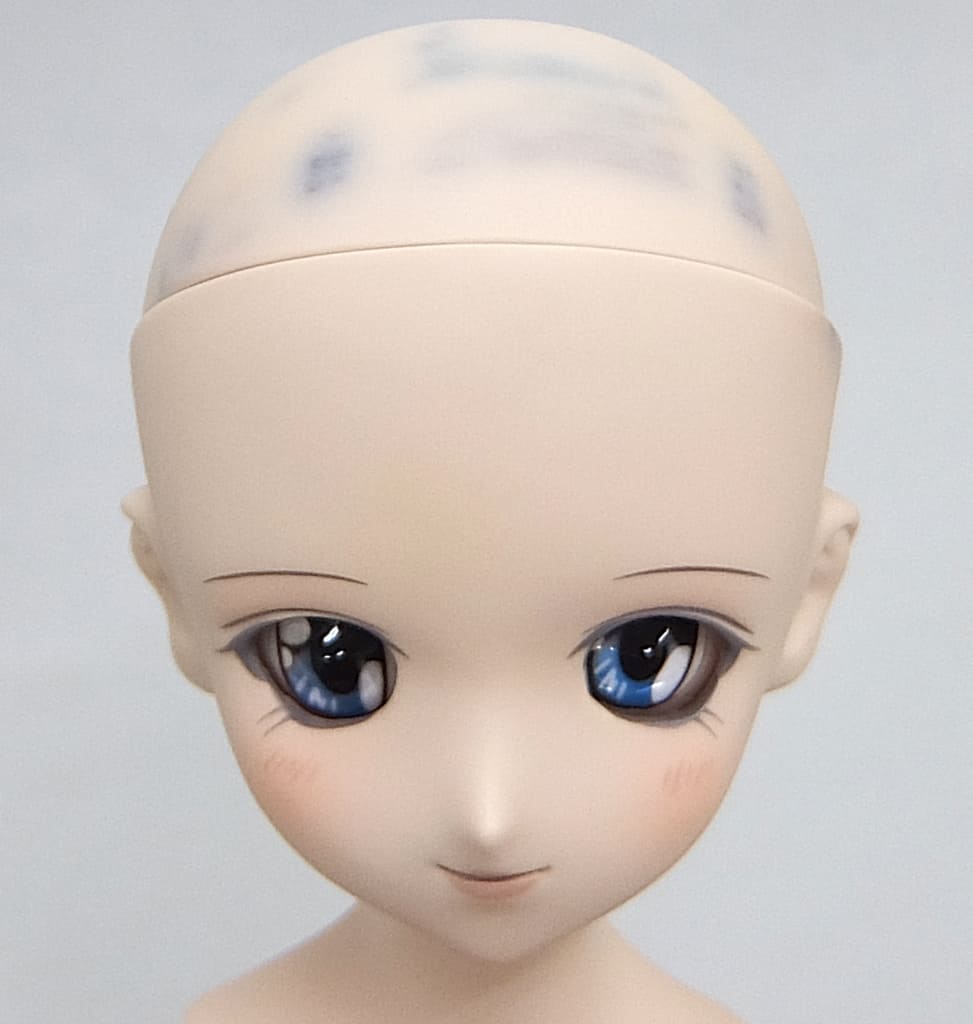 ドルフィードリーム 未来 カスタム 最終値下げ - 趣味/おもちゃ ドルフィードリーム 未来 カスタム 最終値下げ - 趣味/おもちゃ