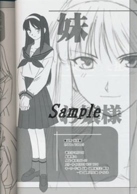 駿河屋 -【アダルト】<中古><<月姫>> 【初版】月姫読本(青本)月姫設定 ...