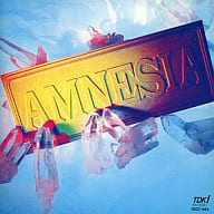 AMNESIA / AMNESIA(廃盤)