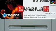 船木誠勝HYBRID WRESTLER闘技伝承 (箱説なし)