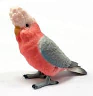 駿河屋 中古 モモイロインコ トサカ 手のりインココレクション ニューフェイス登場 トレーディングフィギュア
