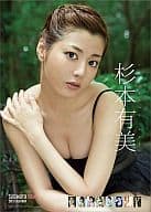 杉本有美 2013年度カレンダー