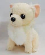 駿河屋 中古 くぅ ちゃん おすわり くぅ ちゃんwithすももちゃんぬいぐるみ ちわわのくぅ ちゃん ぬいぐるみ