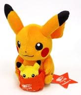 駿河屋 中古 タグ有 美品 色違いのピカチュウ ぬいぐるみ ポケットモンスター ポケモンセンタートウキョー Beams限定 ぬいぐるみ