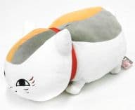 駿河屋 中古 タグ有 美品 ニャンコ先生 大きいぬいぐるみ 夏目友人帳 アニメイト限定 ぬいぐるみ